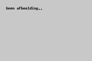 Stahlwerk Germany Balayeuse autoportée  SW1250-e